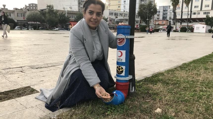 Ceyhan&rsquo;da sokak hayvanlarına 500 kilo mama