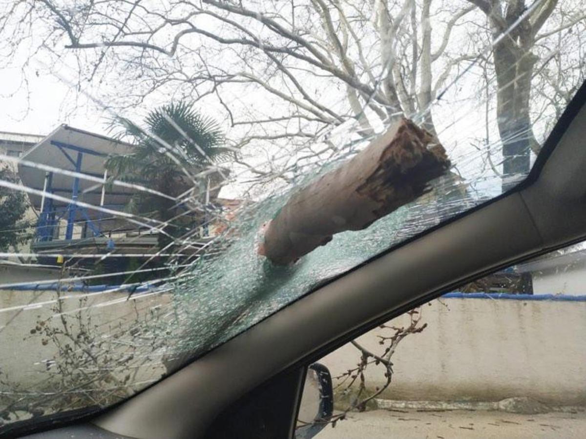 Bursa&rsquo;da lodostan devrilen ağa&ccedil; otomobilin camına ok gibi saplandı