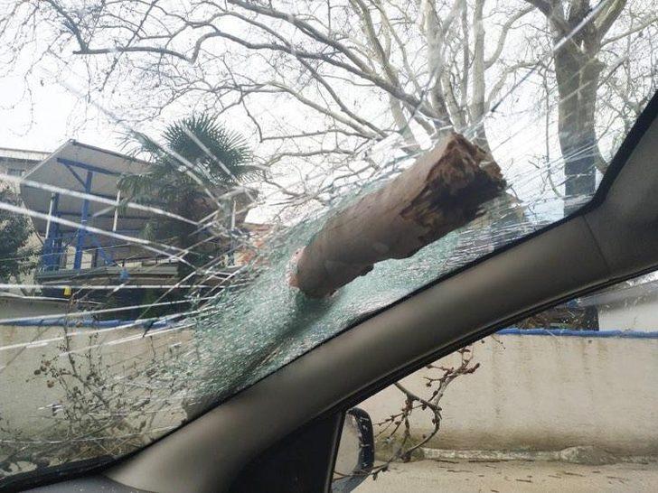 Bursa’da lodostan devrilen ağaç otomobilin camına ok gibi saplandı G1