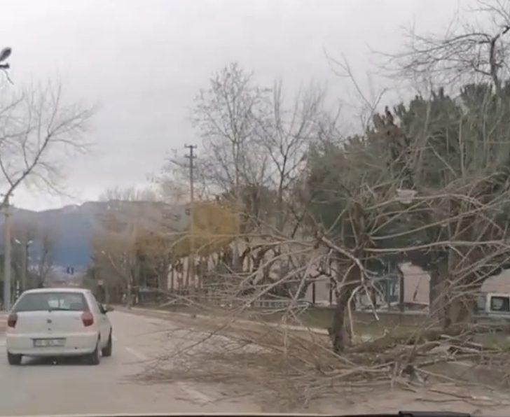 Bursa’da lodostan devrilen ağaç otomobilin camına ok gibi saplandı G2