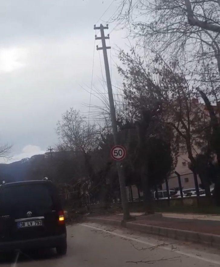 Bursa’da lodostan devrilen ağaç otomobilin camına ok gibi saplandı G3