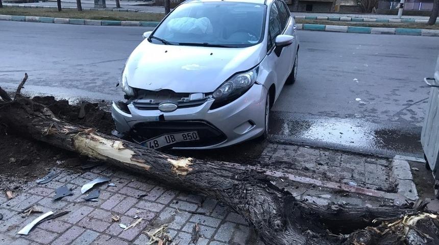 Konya’da otomobil ağaca çarptı: 1 yaralı