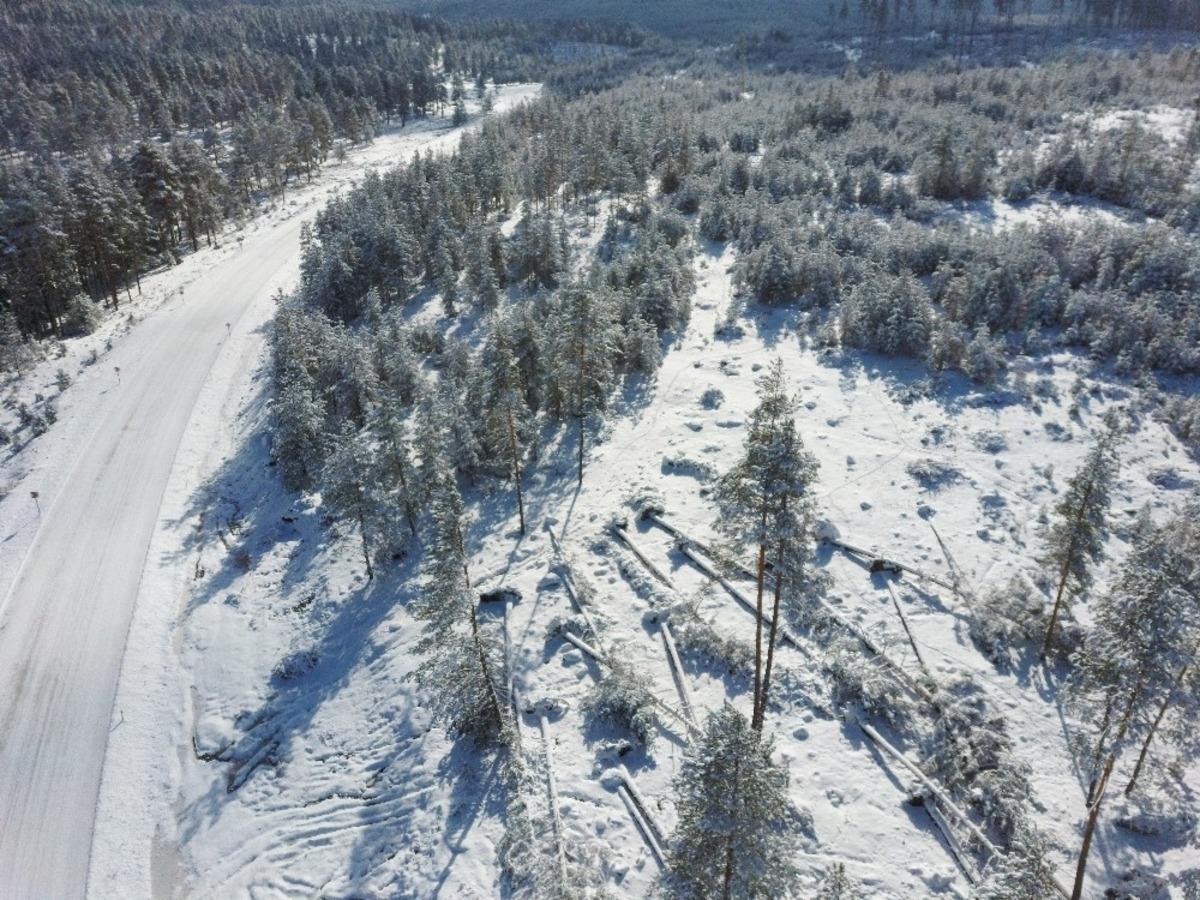 Şiddetli fırtına ağa&ccedil;ları devirdi