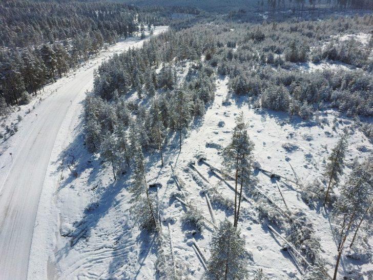Şiddetli fırtına ağaçları devirdi G1