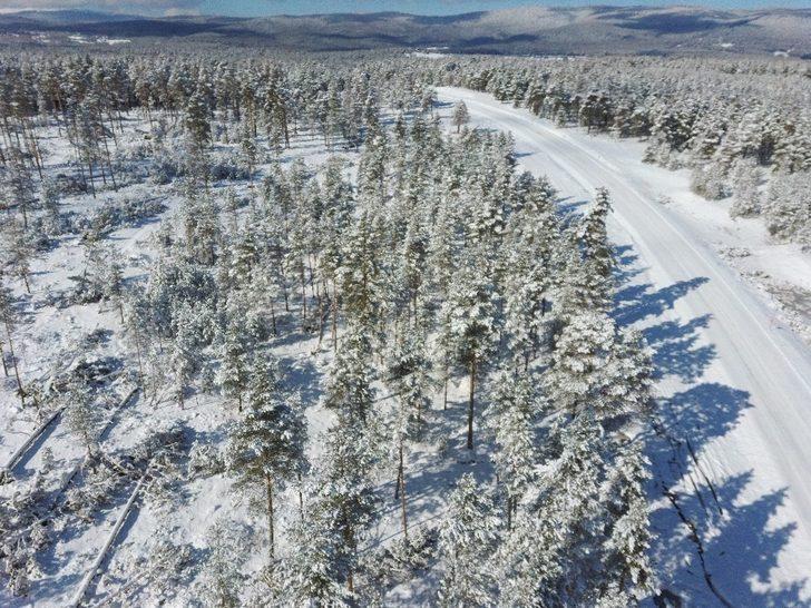 Şiddetli fırtına ağaçları devirdi G4