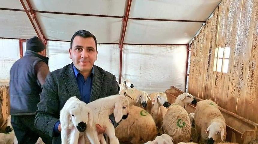 Valilik projesi ile sürü sahibi oldu