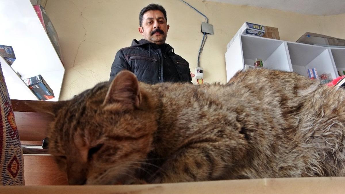 2 yıldır iş yerinde beslenen kedi saldırıya uğradı