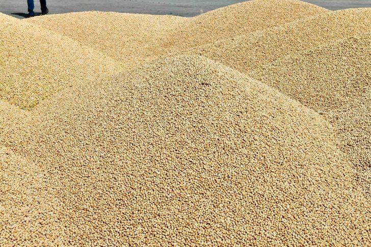 Ankara Büyükşehir Belediyesi’nden çiftçilere çifte müjde G1