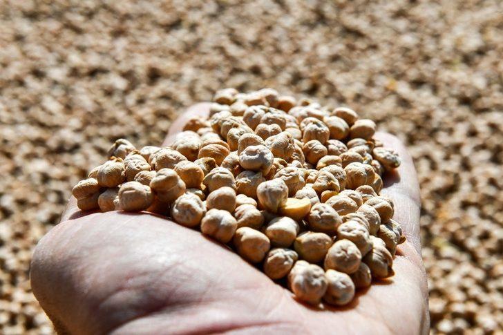 Ankara Büyükşehir Belediyesi’nden çiftçilere çifte müjde G2