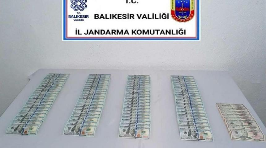 Sahte dolarla ceviz fidanı almak isterken suçüstü yakalandı
