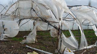Bayramiç'teki seralar, lodos nedeniyle hasar gördü