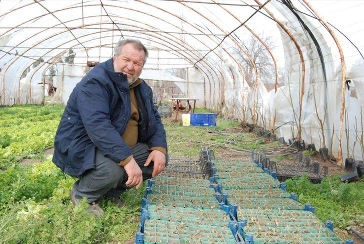 Bayramiç'teki seralar, lodos nedeniyle hasar gördü G2