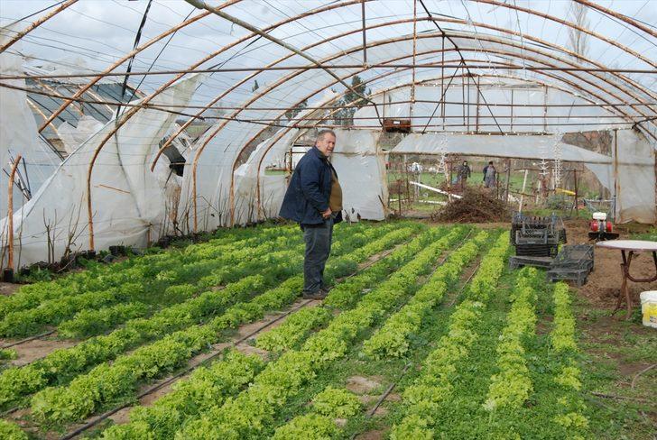 Bayramiç'teki seralar, lodos nedeniyle hasar gördü G3