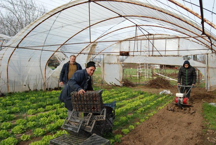Bayramiç'teki seralar, lodos nedeniyle hasar gördü G4