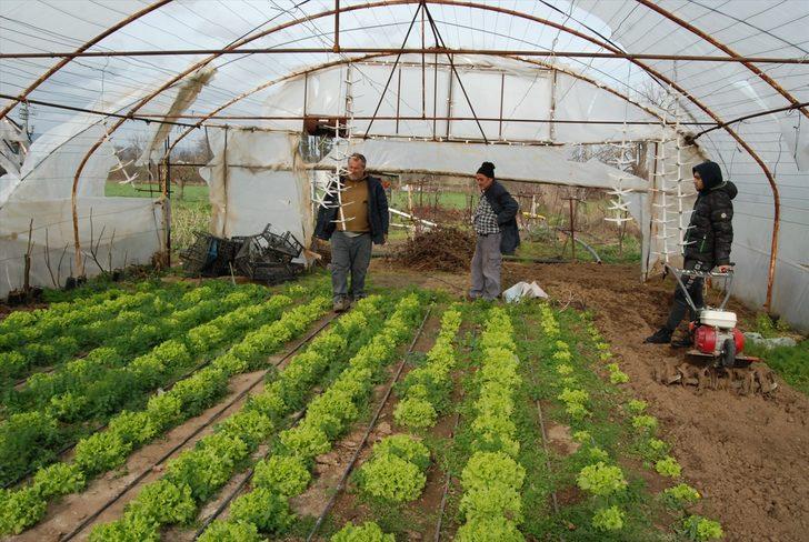 Bayramiç'teki seralar, lodos nedeniyle hasar gördü G5