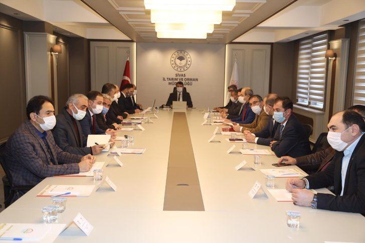 Sivas tarımı kenevirle güçlenecek G3