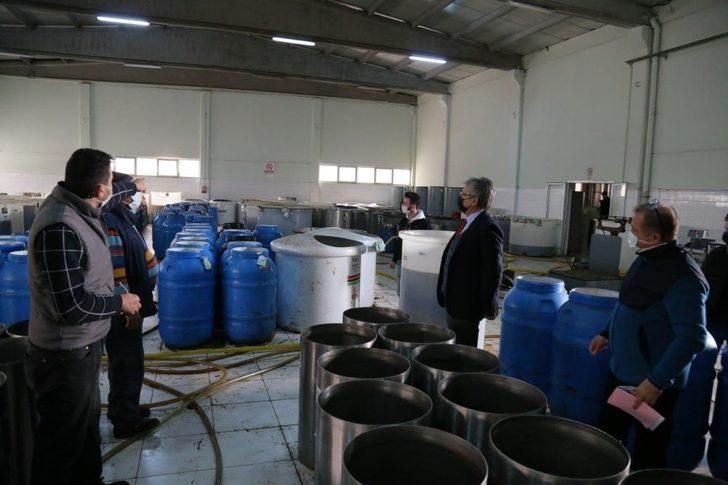 Edremit Belediyesi zeytinyağı satışa hazırlanıyor G5