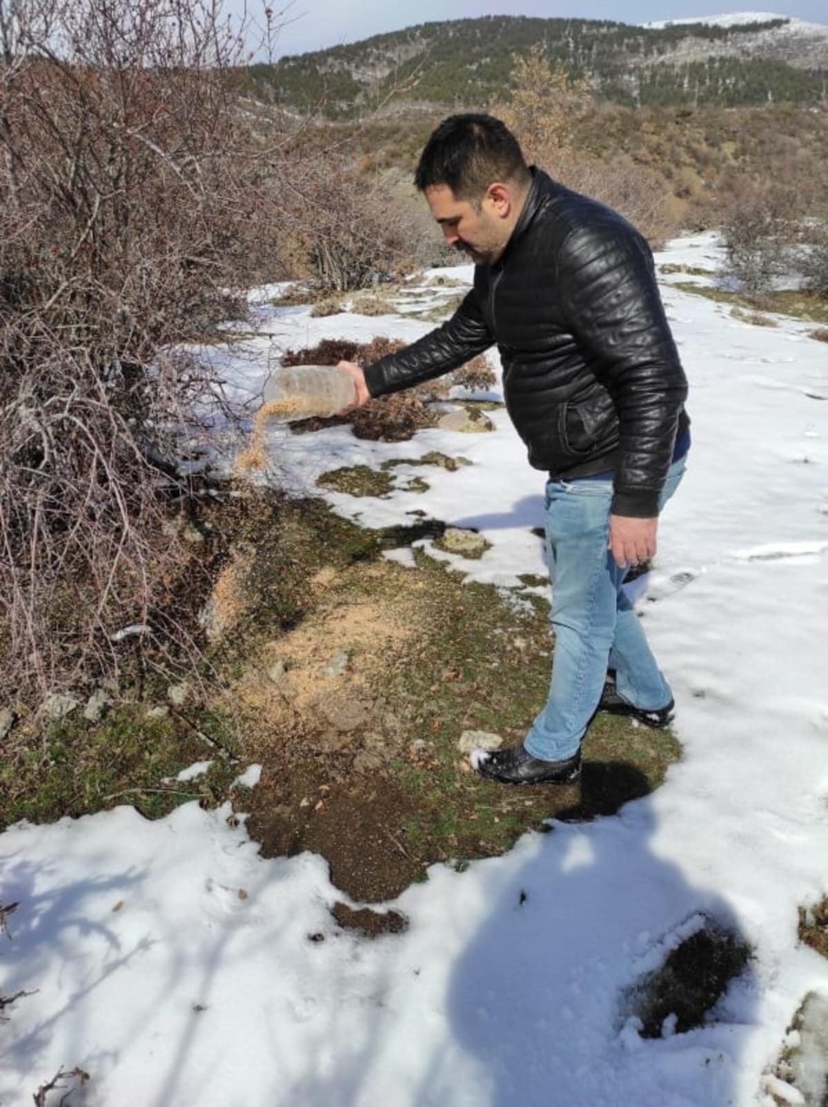 Sokak hayvanlarını gen&ccedil;ler besledi