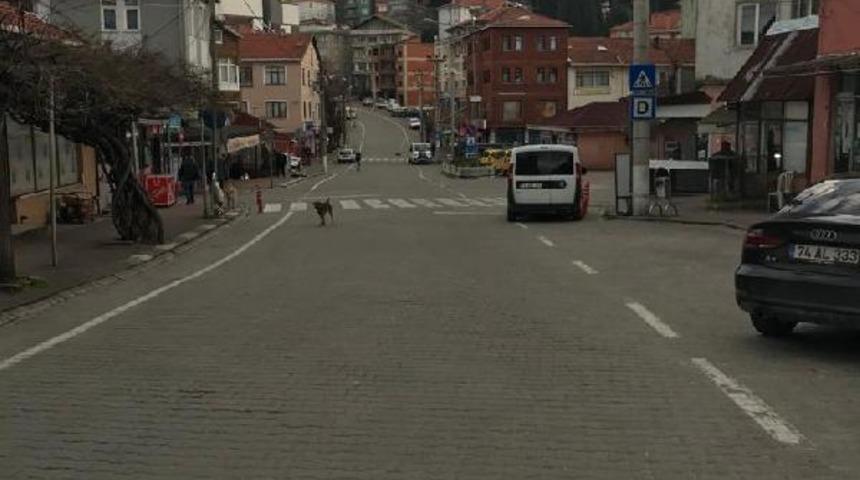 Bartın'da 3.2 büyüklüğünde deprem