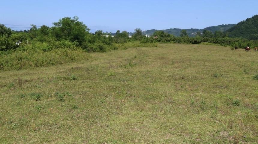 40 yıllık hasret sona eriyor