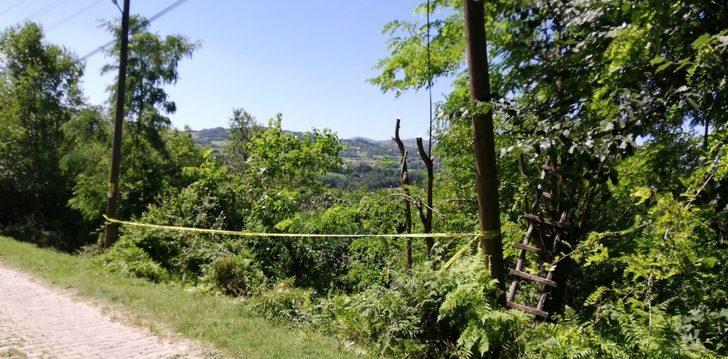 Ağaç budama cinayeti sanığına 25 yıl hapis G1