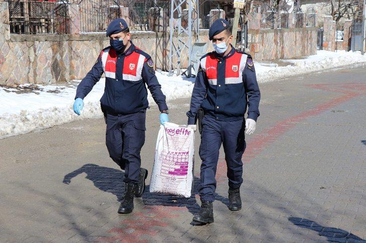 Jandarma sokak hayvanlarını unutmuyor G3