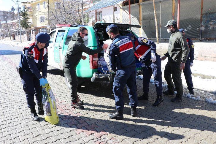 Jandarma sokak hayvanlarını unutmuyor G4