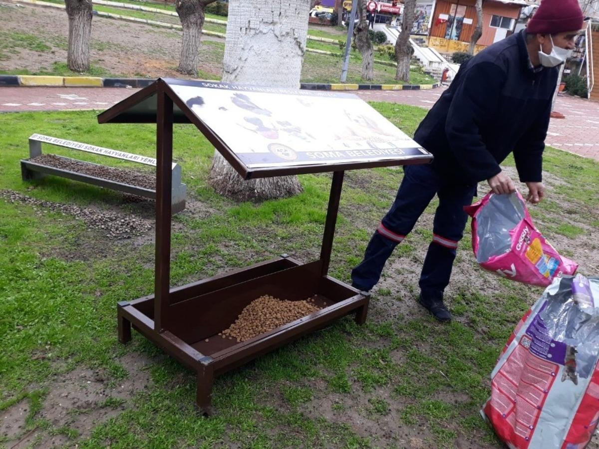 Soma&rsquo;da sokak hayvanları i&ccedil;in korunaklı beslenme &uuml;nitesi