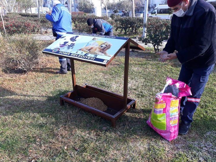 Soma’da sokak hayvanları için korunaklı beslenme ünitesi G4