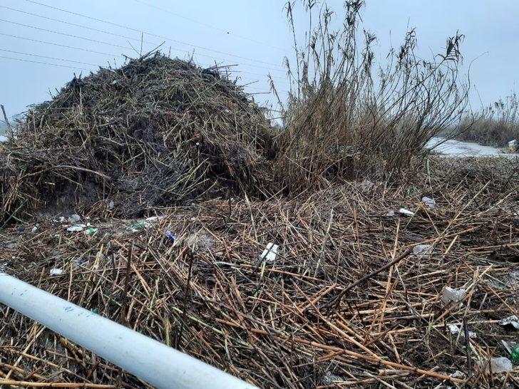 Dereler ve kanallardan tonlarca çöp çıktı G1