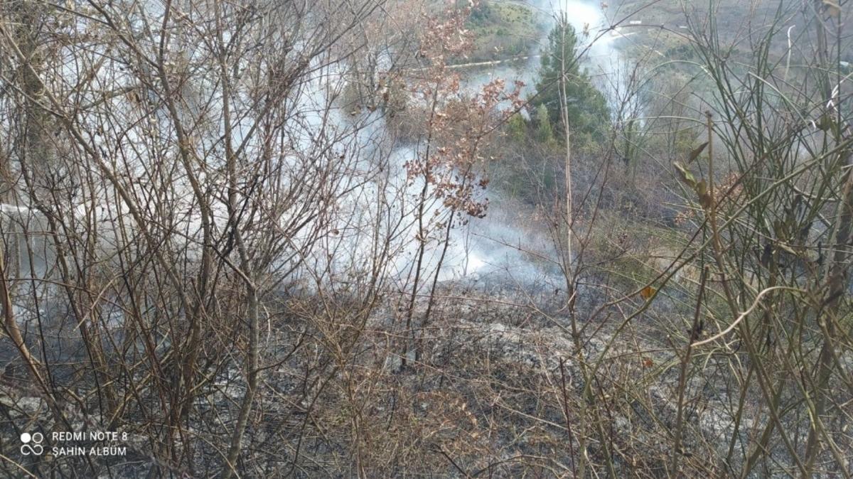 T&uuml;rkeli&rsquo;de anız yangını: 1 yaralı