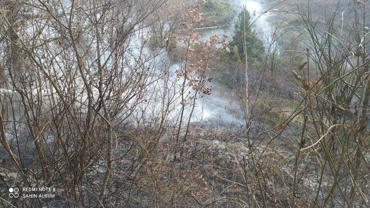 Türkeli’de anız yangını: 1 yaralı G1