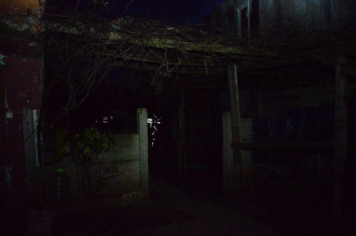 Hayvan koruma derneğinde horoz dövüştürürken yakalandılar G5