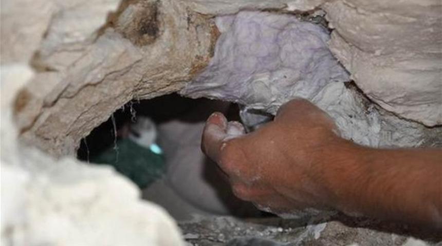 9 milyon yıllık fosiller gün yüzüne çıkarılıyor