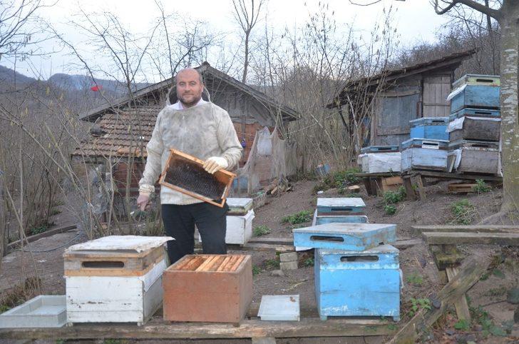 Salgın sürecinde bala talep arttı G1