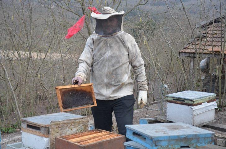 Salgın sürecinde bala talep arttı G2