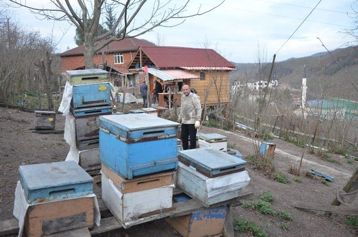 Salgın sürecinde bala talep arttı G4