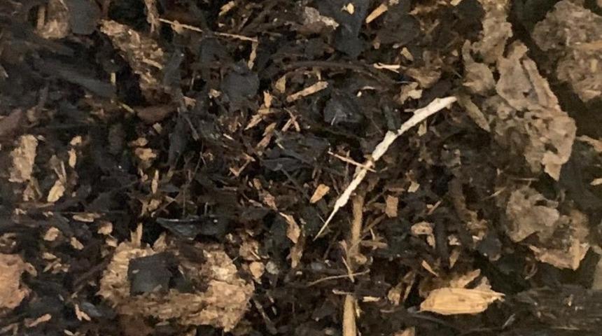 Firmaların başı sahteleri ile dertte