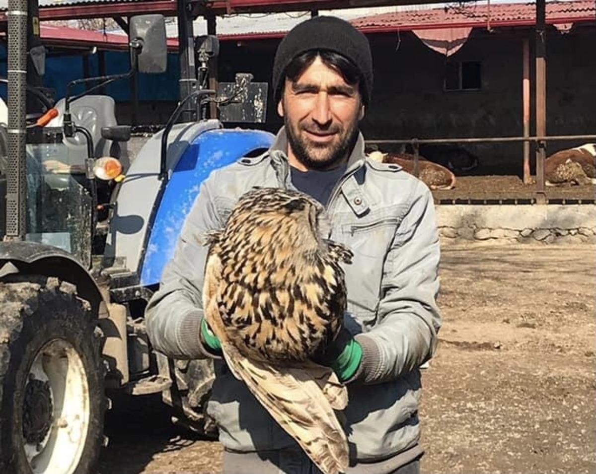 Puhu yırtıcısı tedavi altına alındı