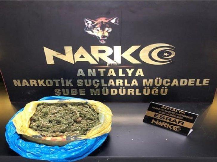 Ocak ayında 350 uyuşturucu operasyonu G1