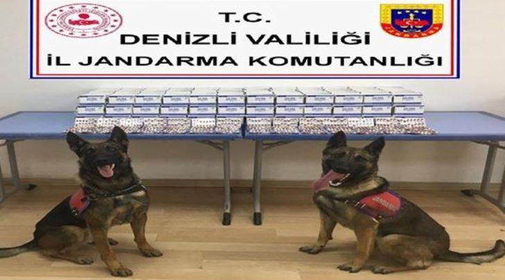 Jandarma 1 ayda 786 olayı aydınlattı G2
