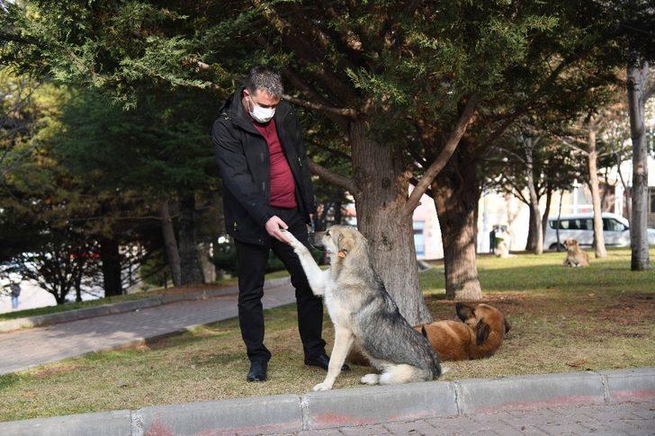 Pursaklar Belediyesi 2020 yılını projelerle dolu dolu geçirdi G3