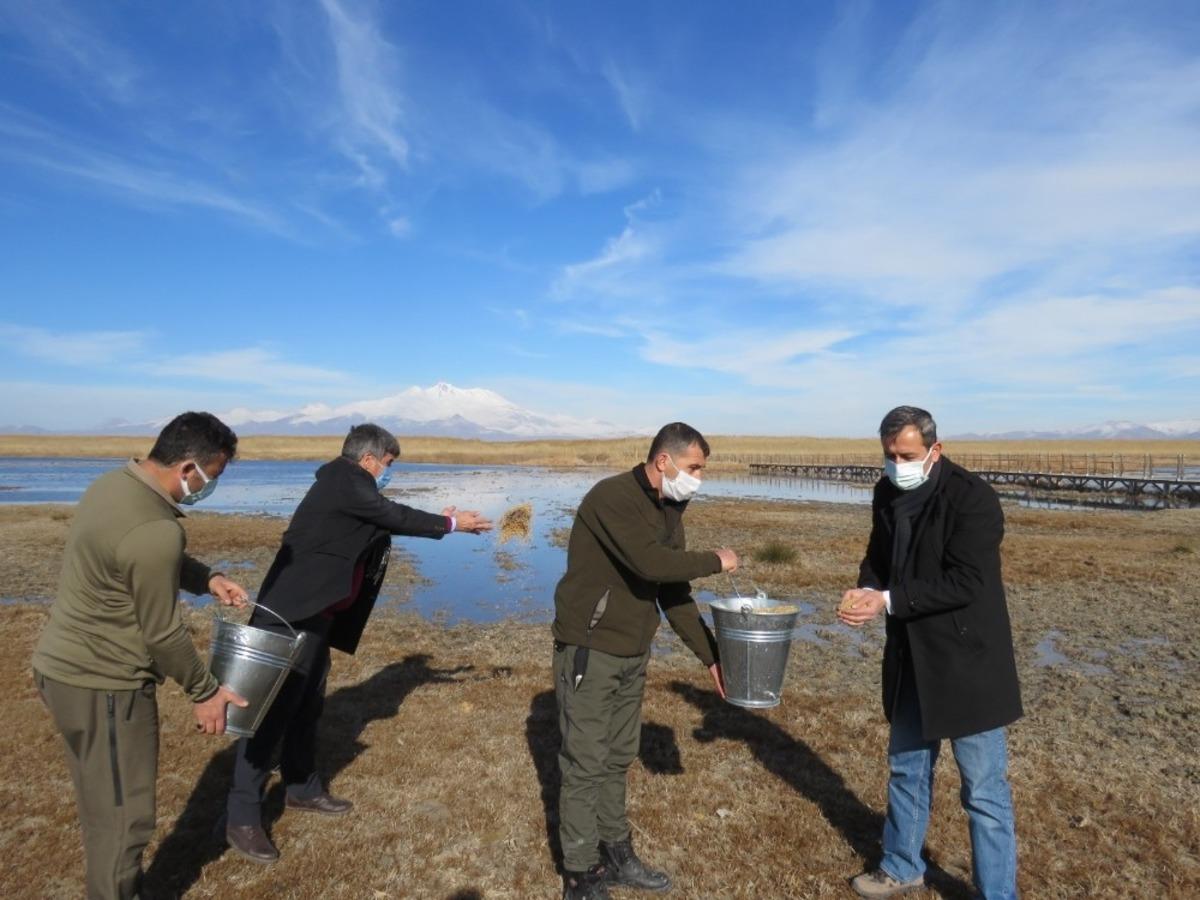 2 Şubat d&uuml;nya Sulak Alanlar G&uuml;n&uuml; yemleme faaliyeti ile kutlandı