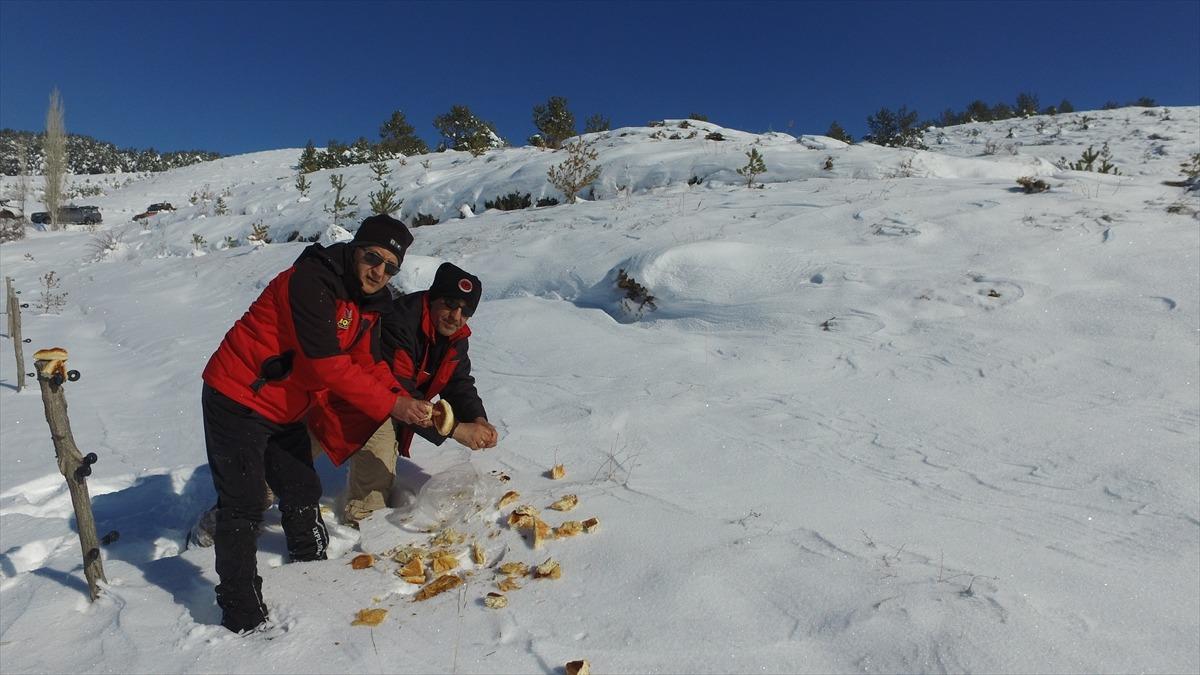 Erzincan'da Off-Road tutkunları yaban hayvanlarını unutmadı