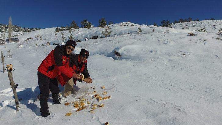 Erzincan'da Off-Road tutkunları yaban hayvanlarını unutmadı G1