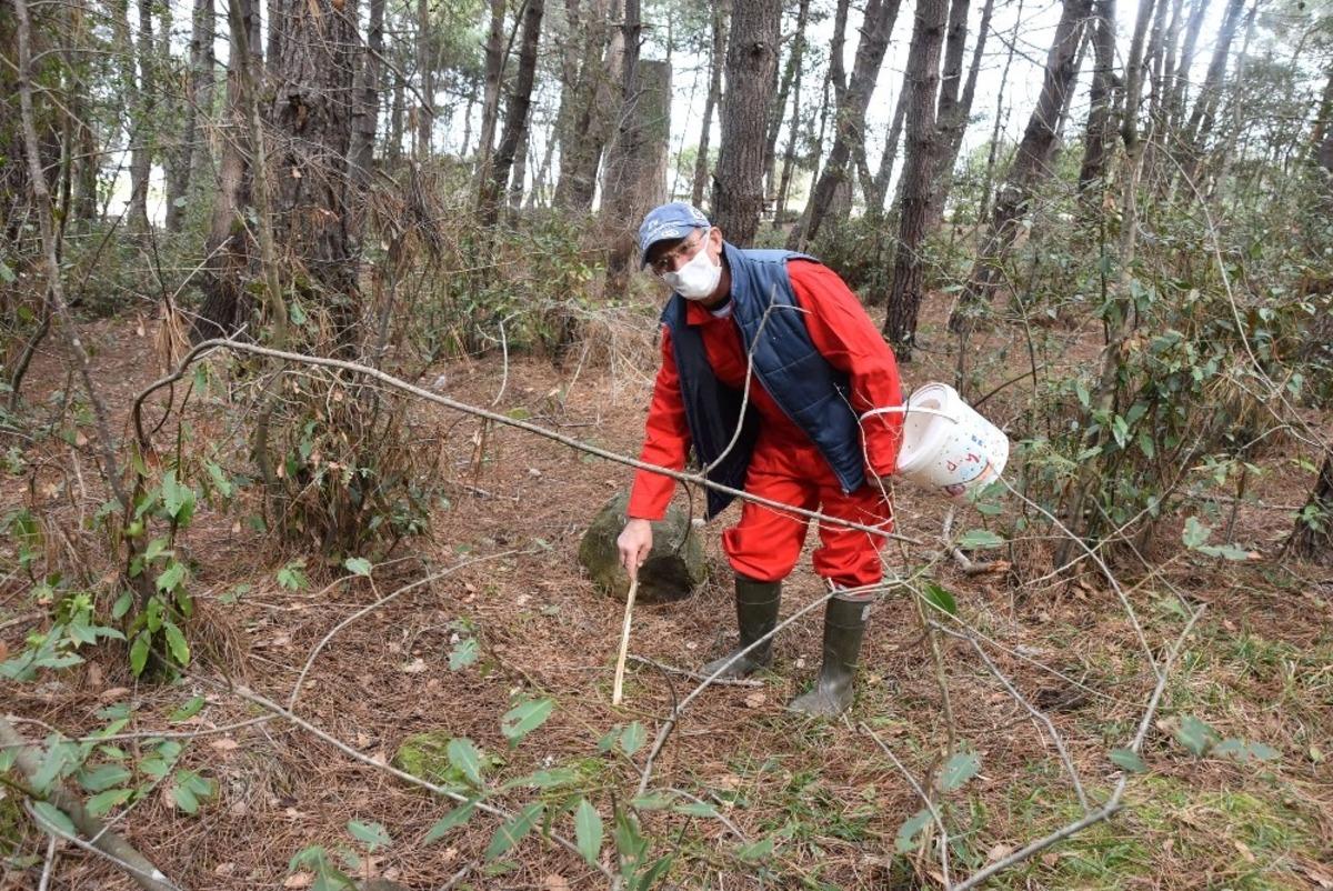 Sinop&rsquo;ta 62&rsquo;lik mantar avcısı g&ouml;renleri şaşırtıyor