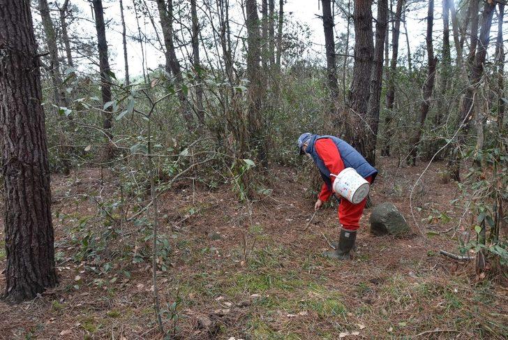 Sinop’ta 62’lik mantar avcısı görenleri şaşırtıyor G2