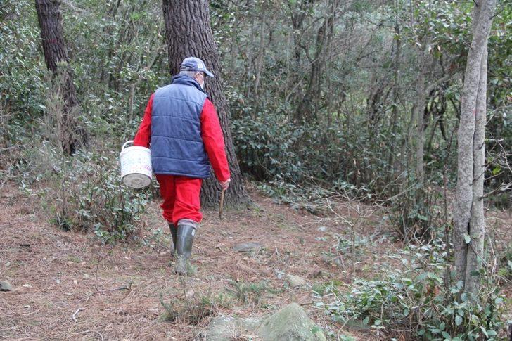 Sinop’ta 62’lik mantar avcısı görenleri şaşırtıyor G5