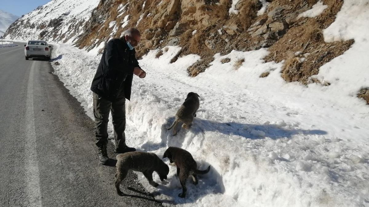 Yol kenarına 3 yavru k&ouml;pek bırakıldı