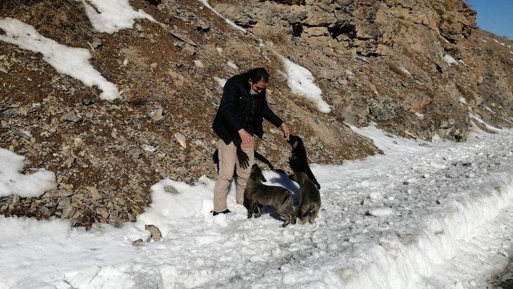 Yol kenarına 3 yavru köpek bırakıldı G3